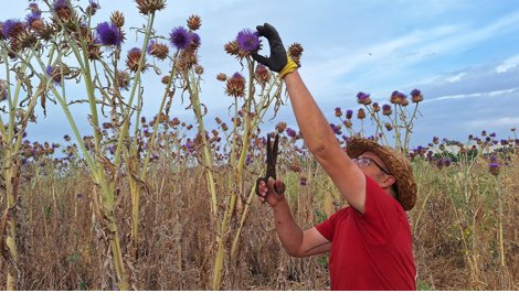 Comunicados Sociedad