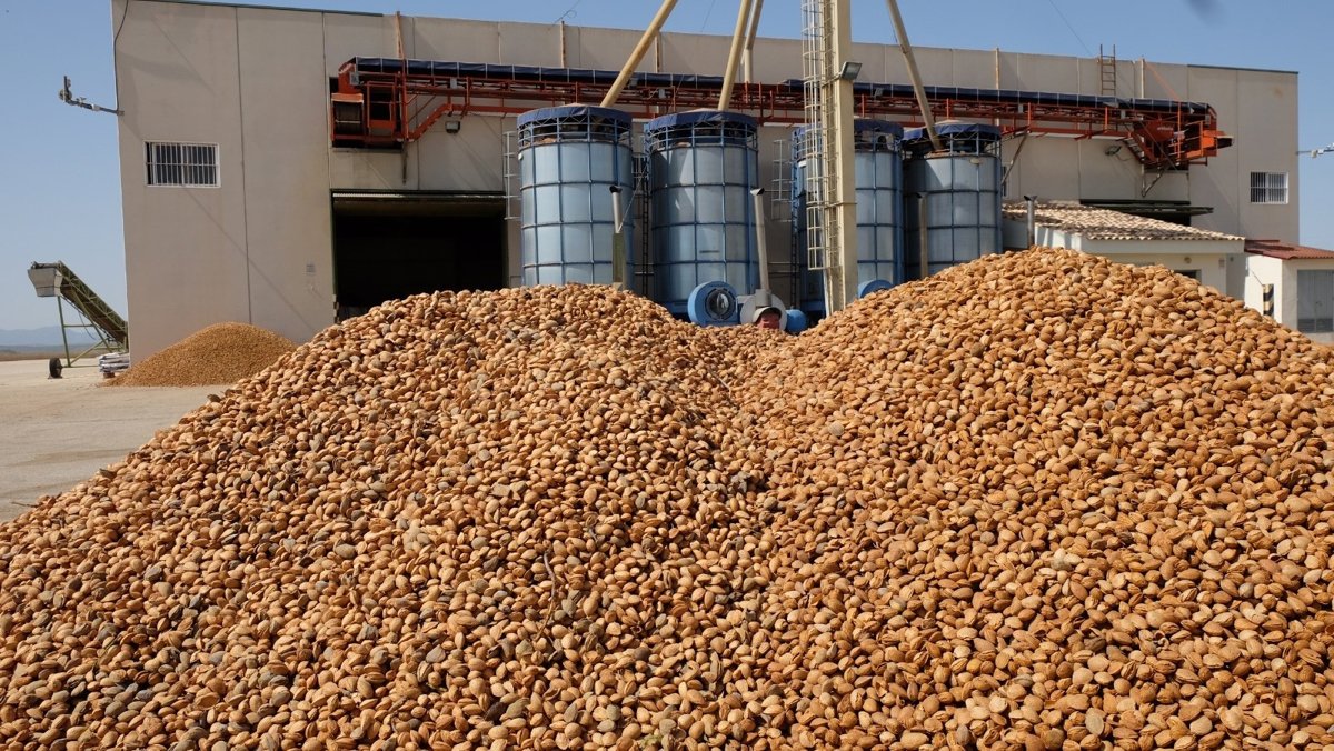 Fecoam expresa su  máxima preocupación  por el futuro del sector de los frutos secos de la Región ante aranceles de EEUU