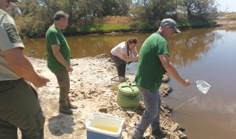 Es Andalucía - Málaga