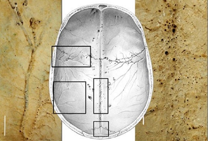 Imagen de la investigación.