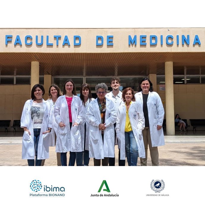 Un equipo de investigadores del Instituto de Investigación Biomédica de Málaga (IBIMA Plataforma BIONAND) y la Universidad de Málaga han dado un paso adelante en la lucha contra la enfermedad de Parkinson