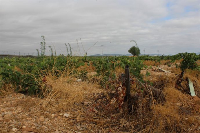 Superficie PAC abandonada