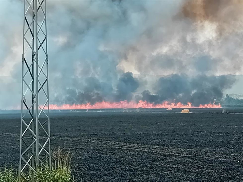 Incendio en el Paraje Arroyo Galapagar, en el término municipal de Córdoba.