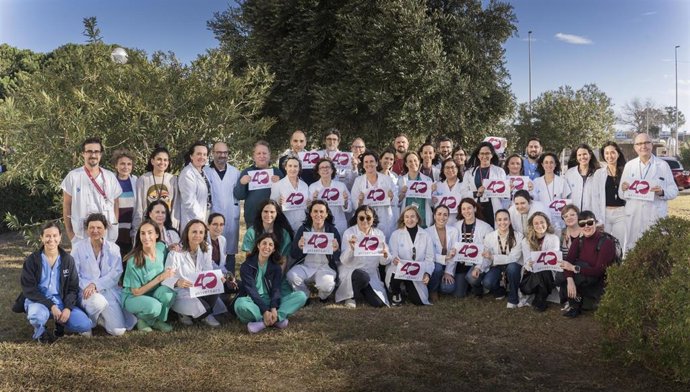 Archivo - Grupo de trasplantes de hígado del centro