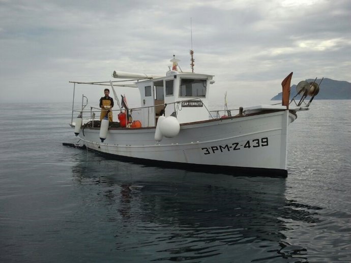 Sale a información pública la propuesta de Decreto del Plan de Gestión de la Pesca en las bahías del norte de Mallorca.