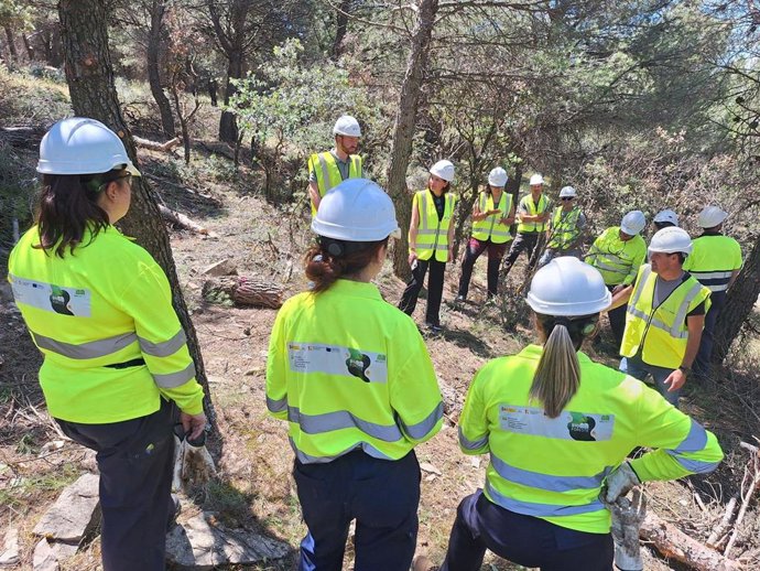 Realización de tareas forestales en el marco del proyecto Bioforeste.