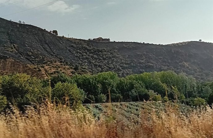 Zona afectada por el incendio del entorno de la Fuente de la Bicha tras su extinción