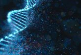 Foto: La dieta interactúa con los genes de cada persona para regular su ritmo diario y su metabolismo