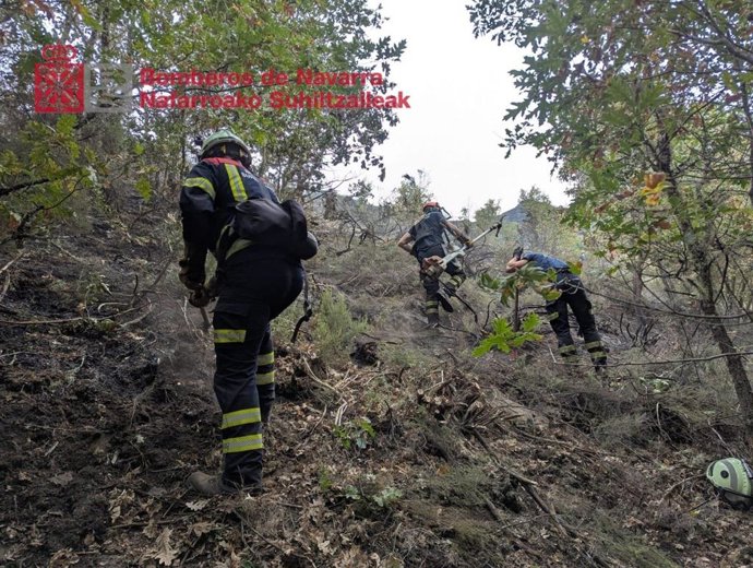 Bomberos de Navarra que han colaborado en tareas de extinción de incendios en León.