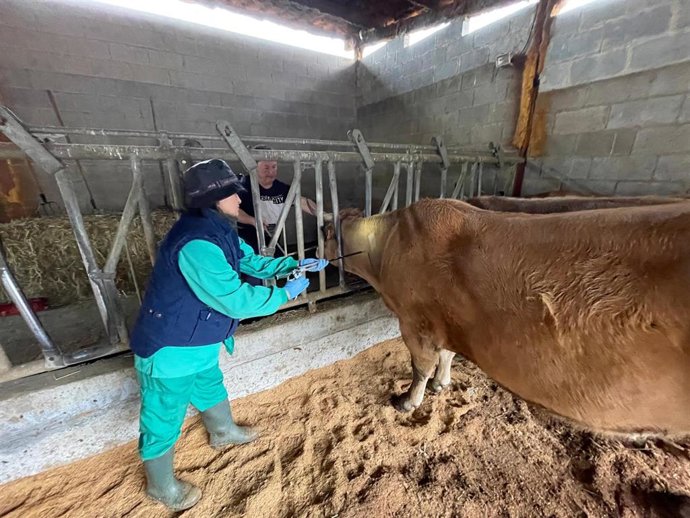 Un técnico recoge una prueba de un animal