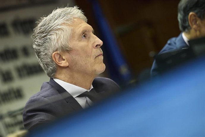 El ministro del Interior, Fernando Grande-Marlaska. 