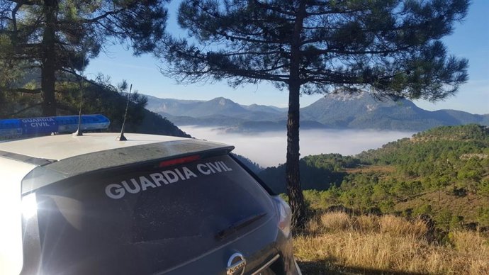 El accidente ha tenido lugar en un coto de caza de Munera.