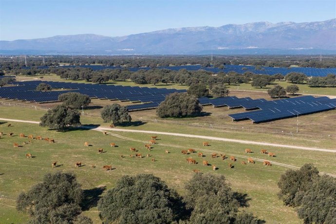 Statkraft logra la autorización ambiental para su planta solar Pinea en Extremadura, de 150 MW