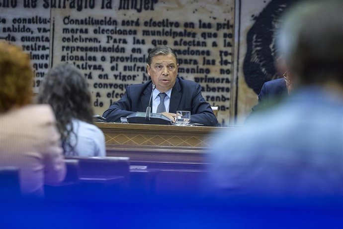 El ministro de Agricultura, Pesca y Alimentación, Luis Planas, comparece durante la Comisión de Agricultura, en el Senado,  