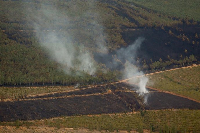 Vista após o incêndio, em 28 de agosto de 2025, em Villamayor, San Antolín de Ibias, Astúrias (Espanha). O presidente do Principado das Astúrias, Adrián Barbón, anunciou que apenas um incêndio florestal continua ativo nas Astúrias, o que afeta o município