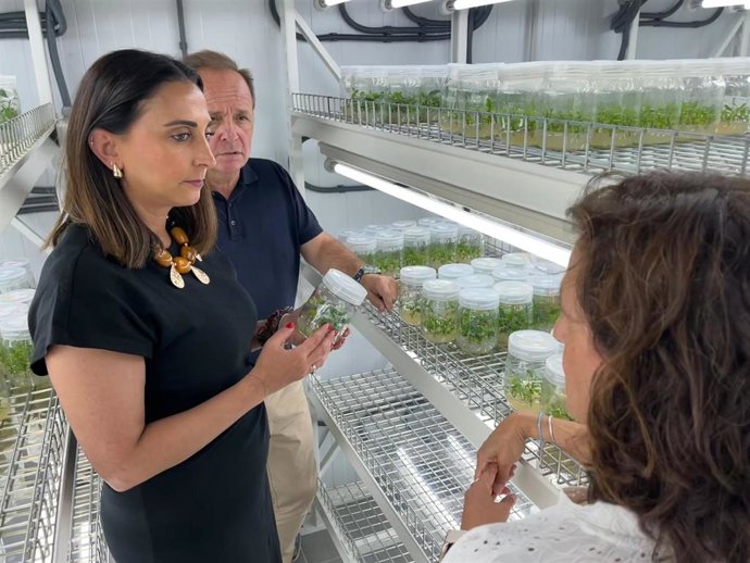 Imagen De La Consejera De Agua, Agricultura, Ganadería Y Pesca, Sara Rubira, En El Laboratorio Del IMIDA En El Que Se Realiza La Investigación Sobre Variedades De Pomelo