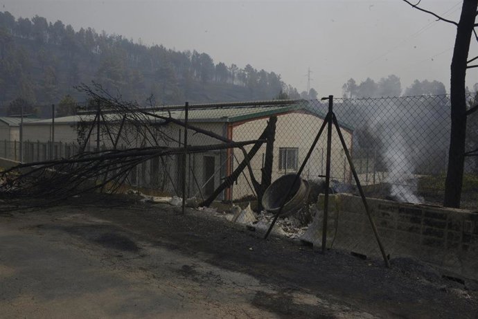 Vista de la Perrera Municipal quemada por el fuego, a 16 de agosto de 2025, en A Rúa, Ourense, Galicia (España)