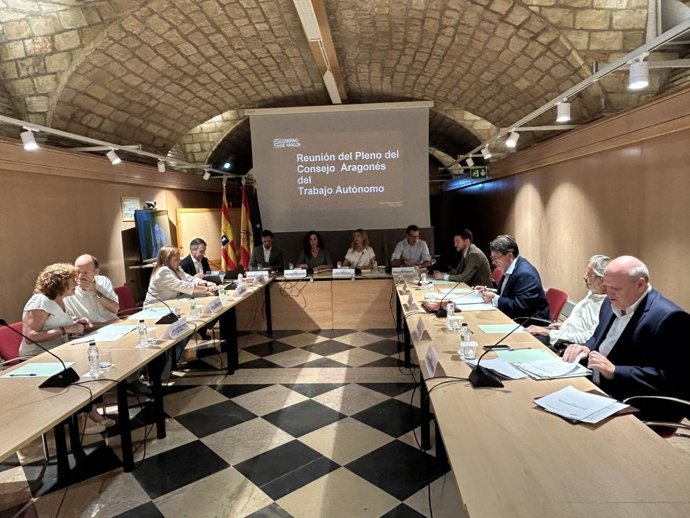 Pleno del Consejo Aragonés del Trabajo Autónomo.