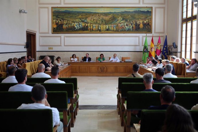 Pleno de la Diputación de Toledo