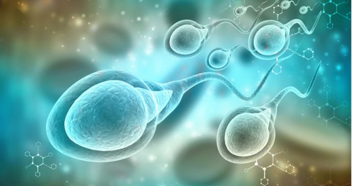 Archivo - Arquivo - Existem várias técnicas de triagem para uma fertilização in vitro bem-sucedida.