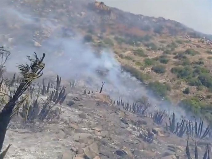 Incêndio em Lubrín (Almería) na ravina Barranco de las Minas.