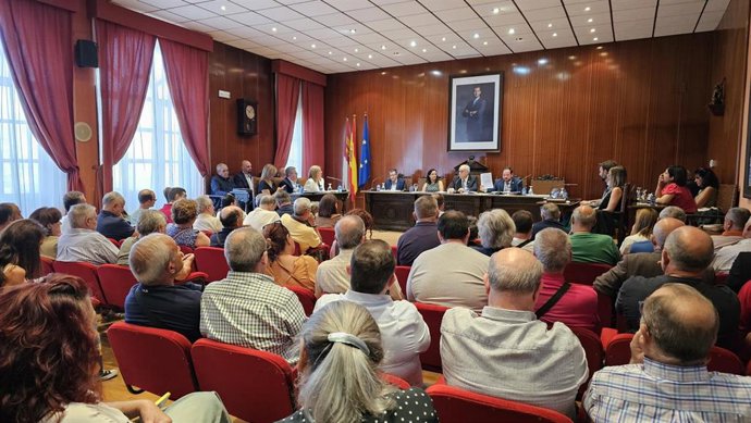 Pleno del Ayuntamiento de Manzanares