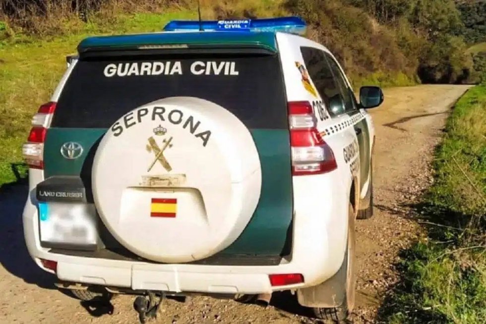 La Guardia Civil de Valladolid investiga a una joven, vecina de Palencia, por el ataque de un perro potencialmente peligroso en Laguna de Duero