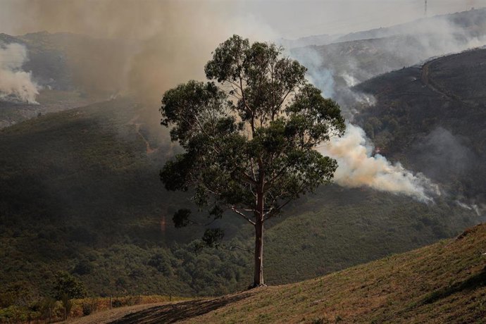 Efectivos aéreos de los bomberos durante las labores de extinción del incendio de Avión, a 25 de agosto de 2025, en Avión, Ourense (España)