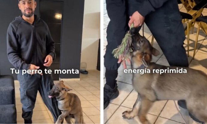 Captura de pantalla de un vídeo de Tiktok de @baruchcorrea