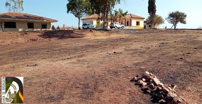 Imagen del paraje Estación Vadollano, en Linares (Jaén).