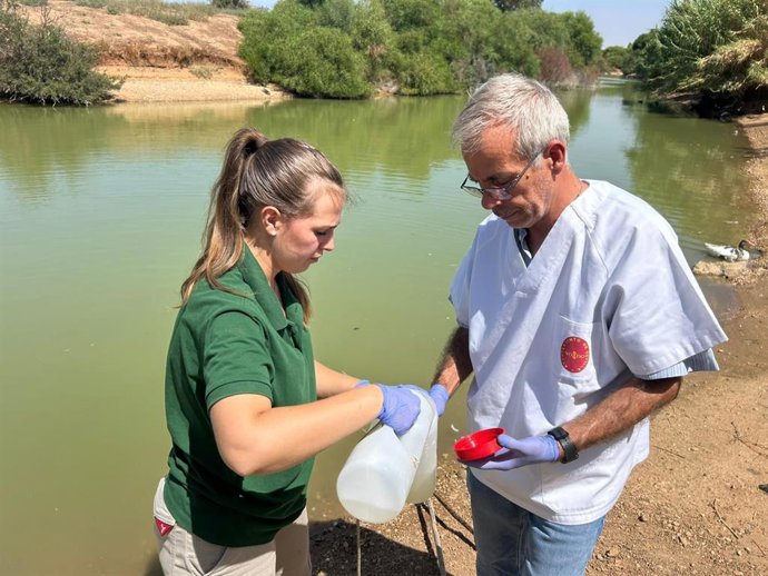 Expertos actúan en la investigación del Parque del Tamarguillo (Sevilla). Imagen de archivo.