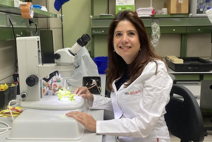 Archivo - La investigadora del Instituto de Agricultura Sostenible (IAS) y autora principal del estudio, Sara Fondevilla.