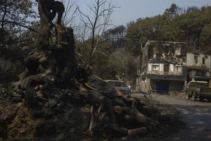 Vista tras el incendio en San Vicente de Leira, a 19 de agosto de 2025, en Villamartín de Valdeorras, Ourense, Galicia (España)