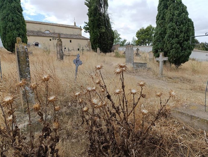 La maleza cubre el cementerio de los Martires de Huesca según expone el concejal socialista en el consistorio oscense Roberto Cacho.