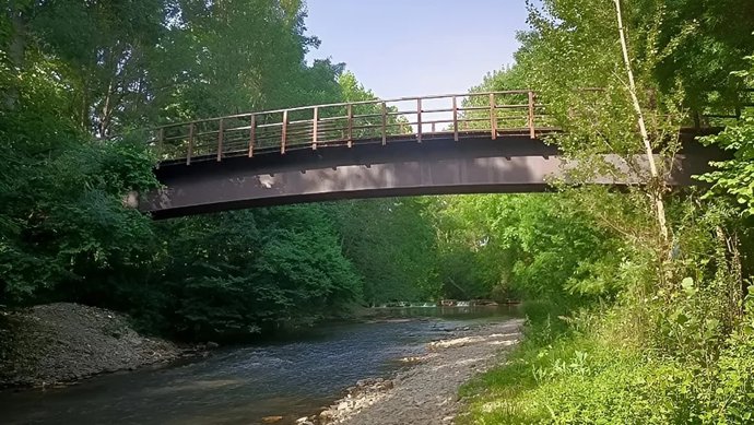 Pasarela de Txubindoa.