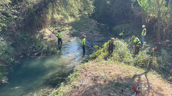 Trabajos de limpieza en cauces en la zona de Los Puentes de Jaén. Imagen de archivo.