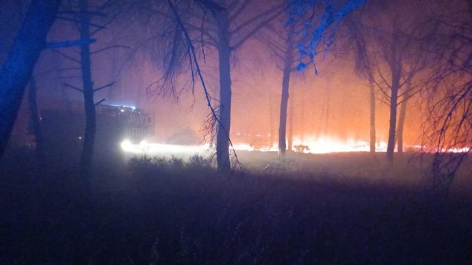 Imagen del incendio en Gibraleón esta madrugada.