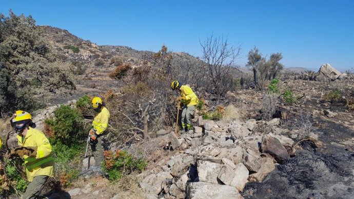 Bomberos forestales trabajan en la extinción del incendio forestal de Lubrín (Almería).