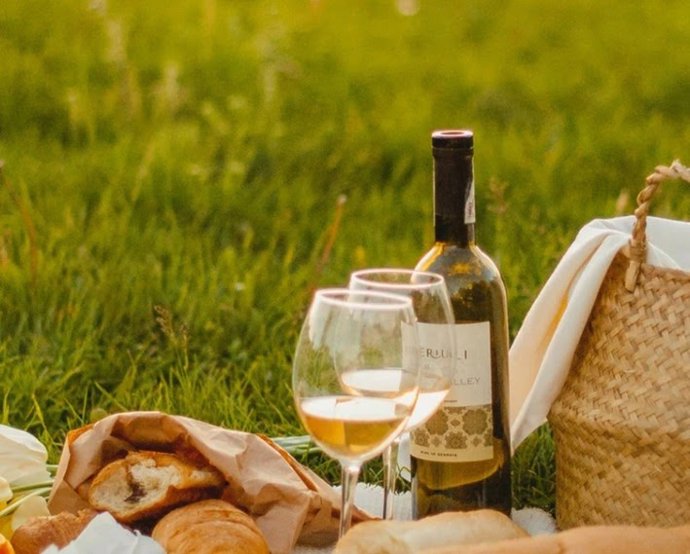 La vendimia más auténtica en La Mancha: experiencias de lujo y tradición en La Caminera Club de Campo