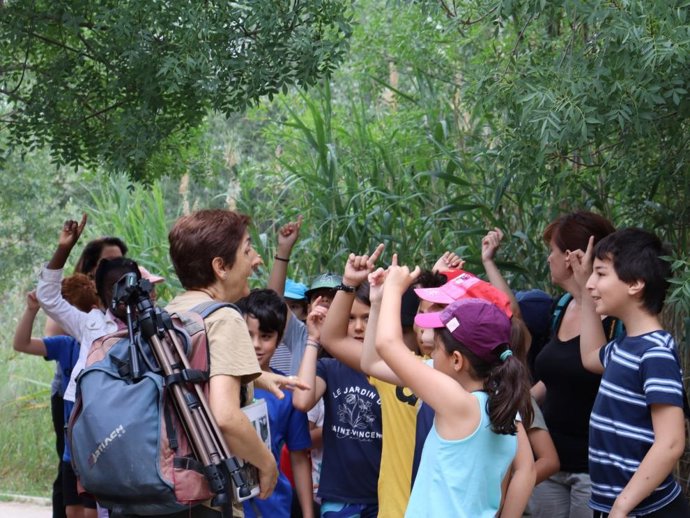 Una de las actividades realizadas en el marco de los programas de educación ambiental.