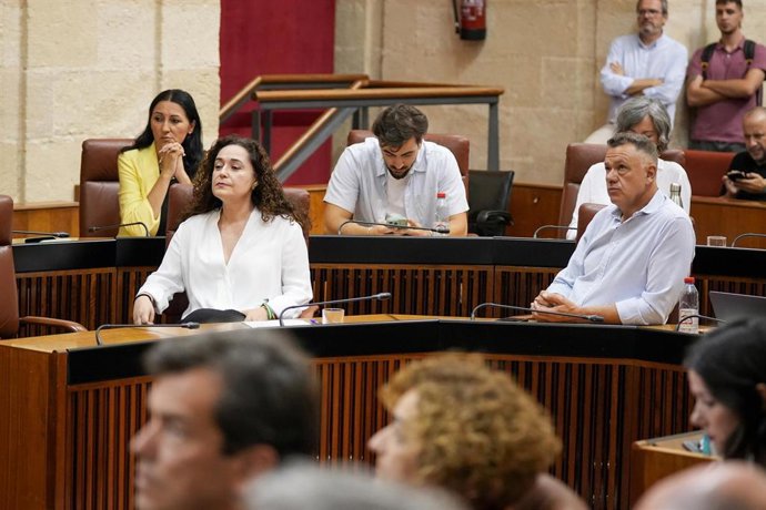 Archivo - La portavoz del Grupo Por Andalucía, Inma Nieto, interviene durante la sesión de control en el pleno del Parlamento andaluz. A 24 de julio de 2025. (Foto de archivo).