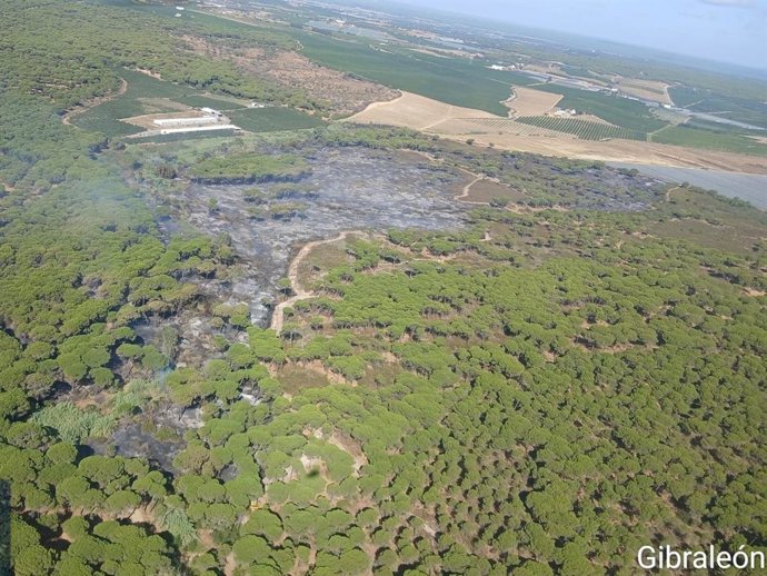 Vista aérea del incendio declarado en Gibraleón (Huelva).