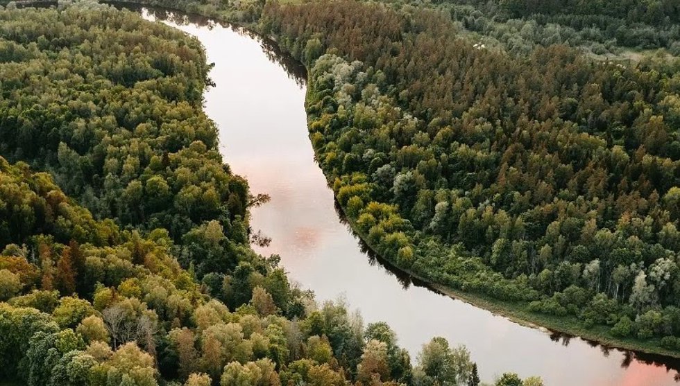 Organizaciones internacionales lanzan 'HandsoffNature' para defender leyes europeas de protección del medio ambiente