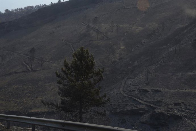 Vista tras el incendio en San Vicente de Leira, a 19 de agosto de 2025, en Villamartín de Valdeorras, Ourense, Galicia (España). El incendio que permanece activo en el municipio ourensano de Larouco, que cruzó el Sil por varios puntos hasta pasar a la pro