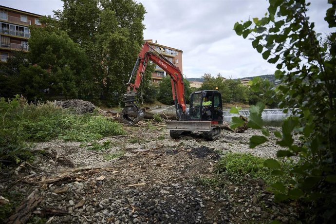 Limpieza de la ribera del río Arga.