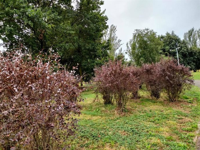 Nubes bajas en Bizkaia