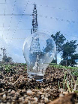 Archivo - Una bombilla clavada en el césped, a 9 de enero de 2025, en Madrid (España). 