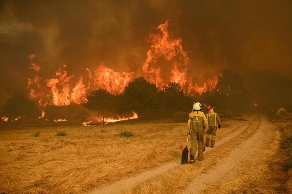 Greenpeace insta a la acción por un Pacto de Estado por la emergencia climática