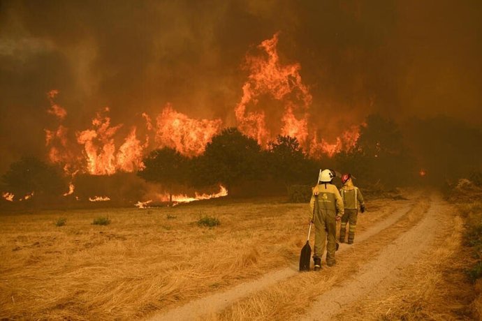 Greenpeace insta a la acción por un Pacto de Estado por la emergencia climática