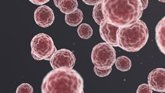 Foto: Los microbios de los tumores gastrointestinales, predictores del pronóstico del cáncer y la eficacia de la terapia